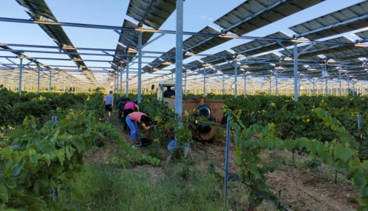 agriculture et panneaux solaires