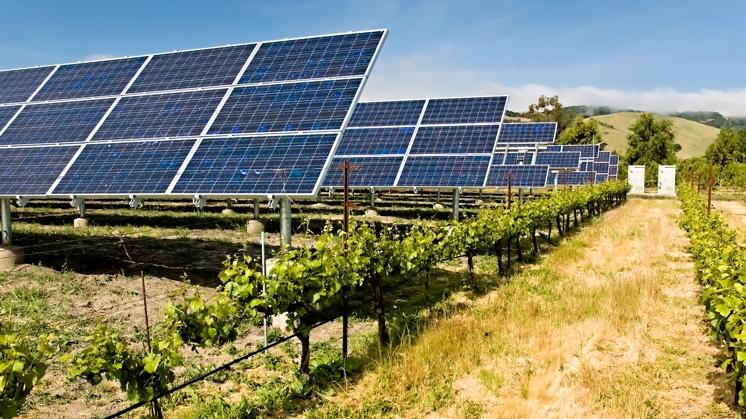 La France a imposé une réglementation sur l’utilisation des panneaux solaires en milieu agricole